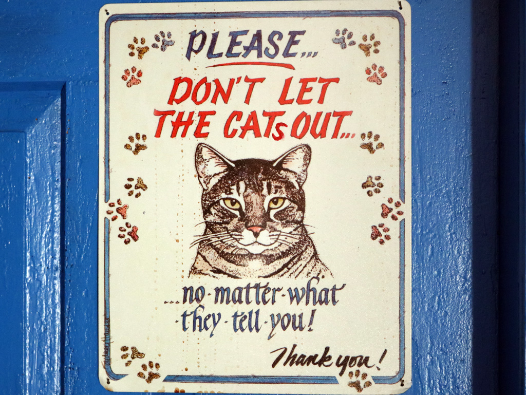 Don't let the cats out